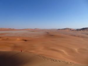 Dunes in the Empty Quarter Oman