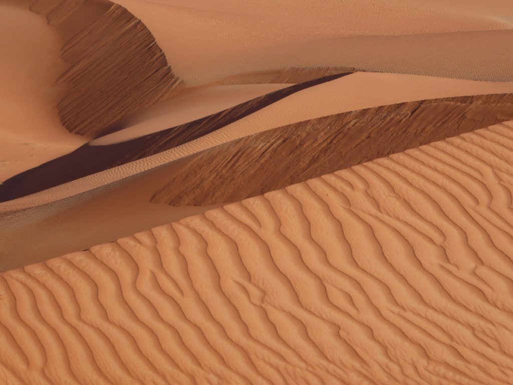 Dunes in the Empty Quarter Oman
