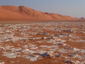 Gypsum field while hiking in the Empty Quarter Oman