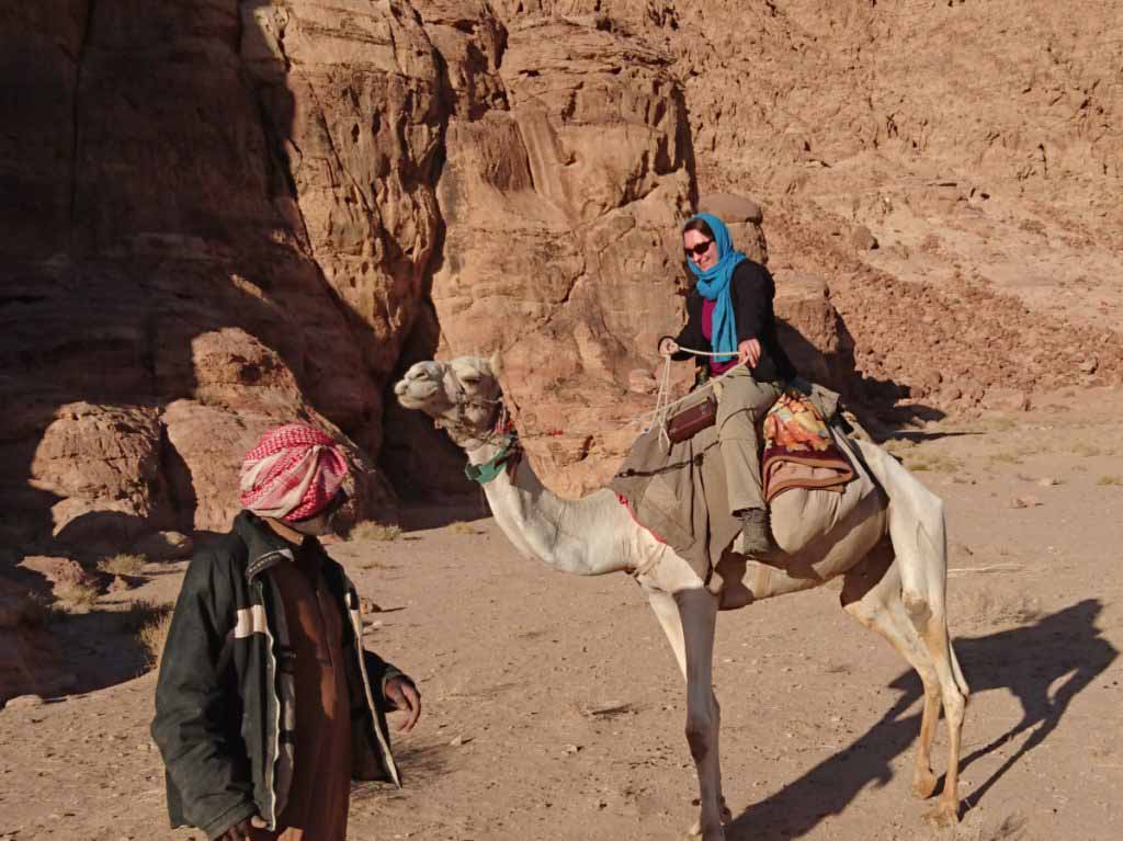 Camel Jordan Wadi Rum Beduin Dromedary 