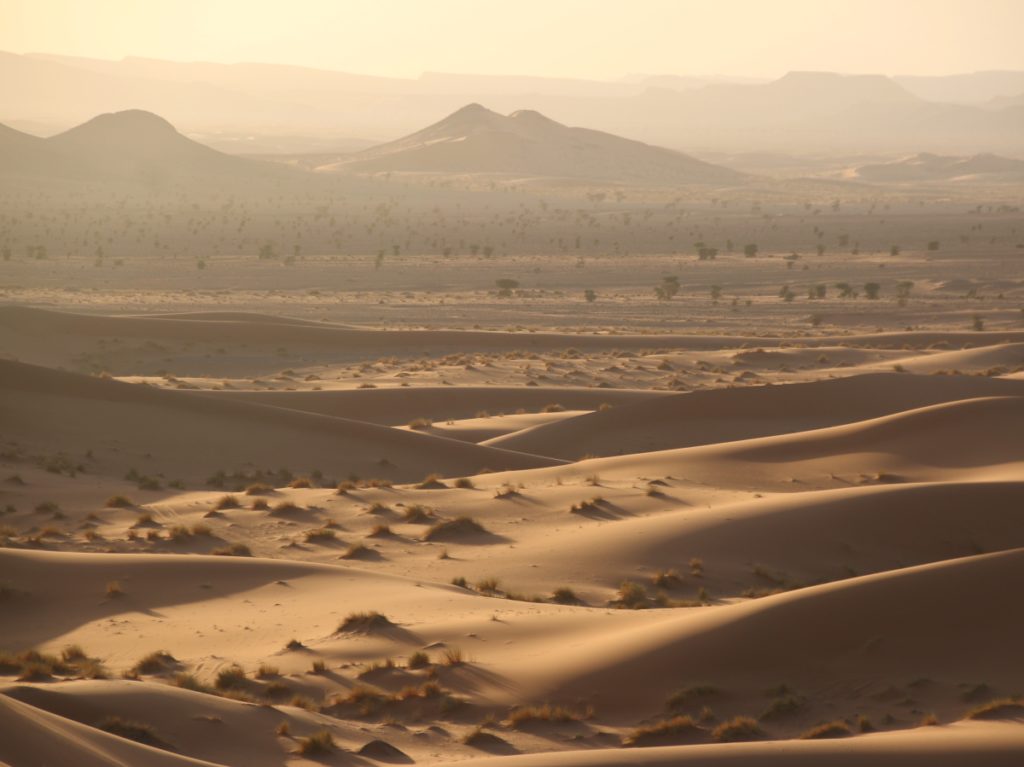 sand dunes, morocco, sunset, beautiful light