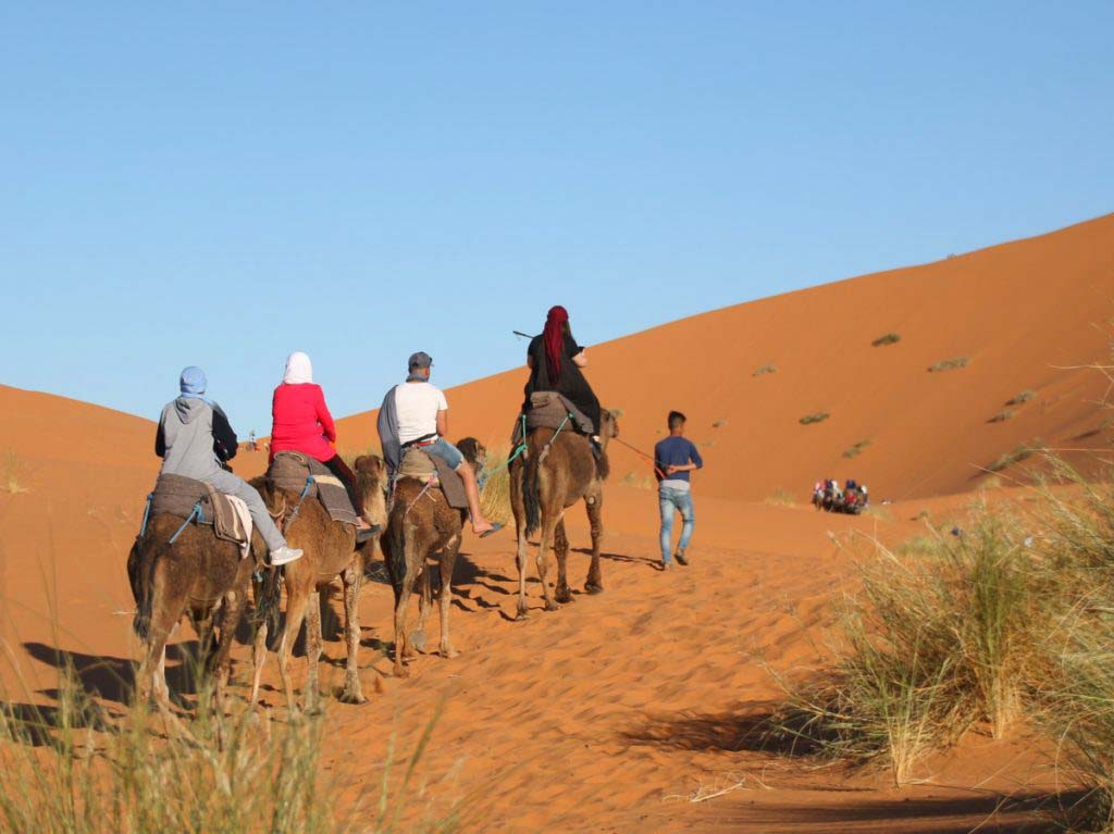 camels, camel ride, what to do in merzouga, guide, dunes, sunset