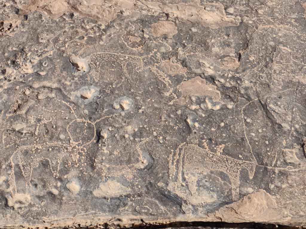 petroglyphs, taouz, morocco, day trip from merzouga