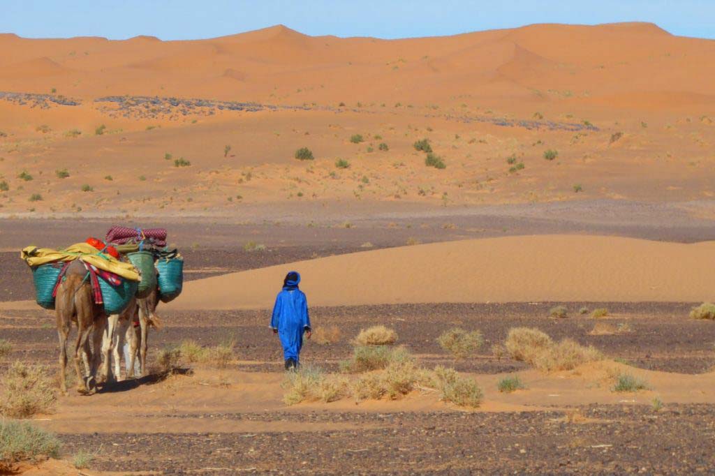 trekking, camels, tents, sand dunes, things to do in Merzouga