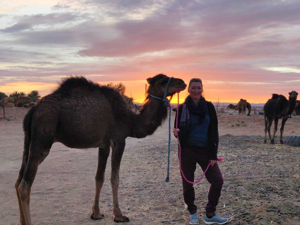 baby camel and women in front of sunset in the desert