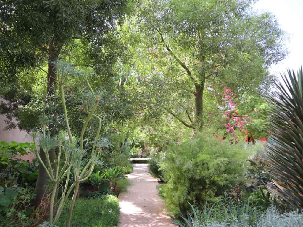 Plants and trees in Le Jardin Secret in Marrakech