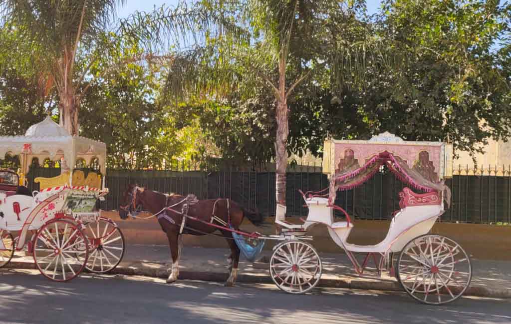 Brown horse with pink and white carriage standing on the road. Meknes travel guide