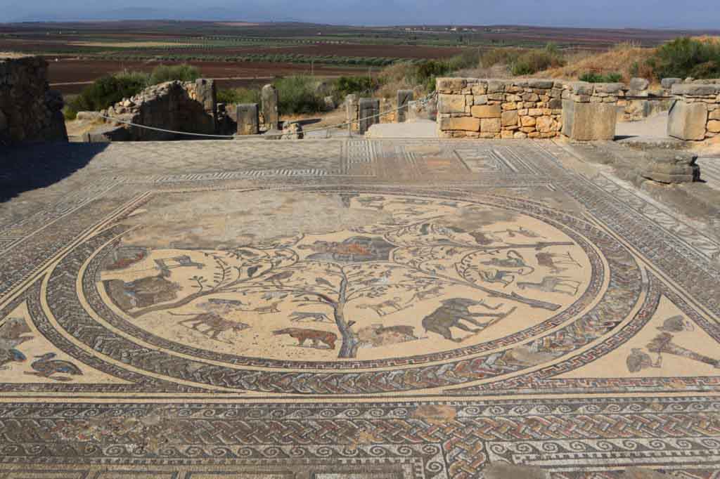 Mosaik am Boden mit wilden Tieren, Elefant, Nilpferd, Gepard in Volubilis, Marokko