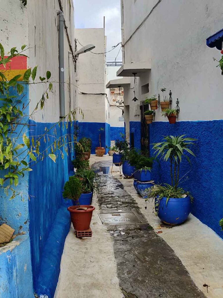 Pflanzen in Kübeln antlang blau und weiß gestrichener Wände in der Kasbah des Oudayas in Rabat. eine der fotogensten Sehenswürdigkeiten in Rabat.
