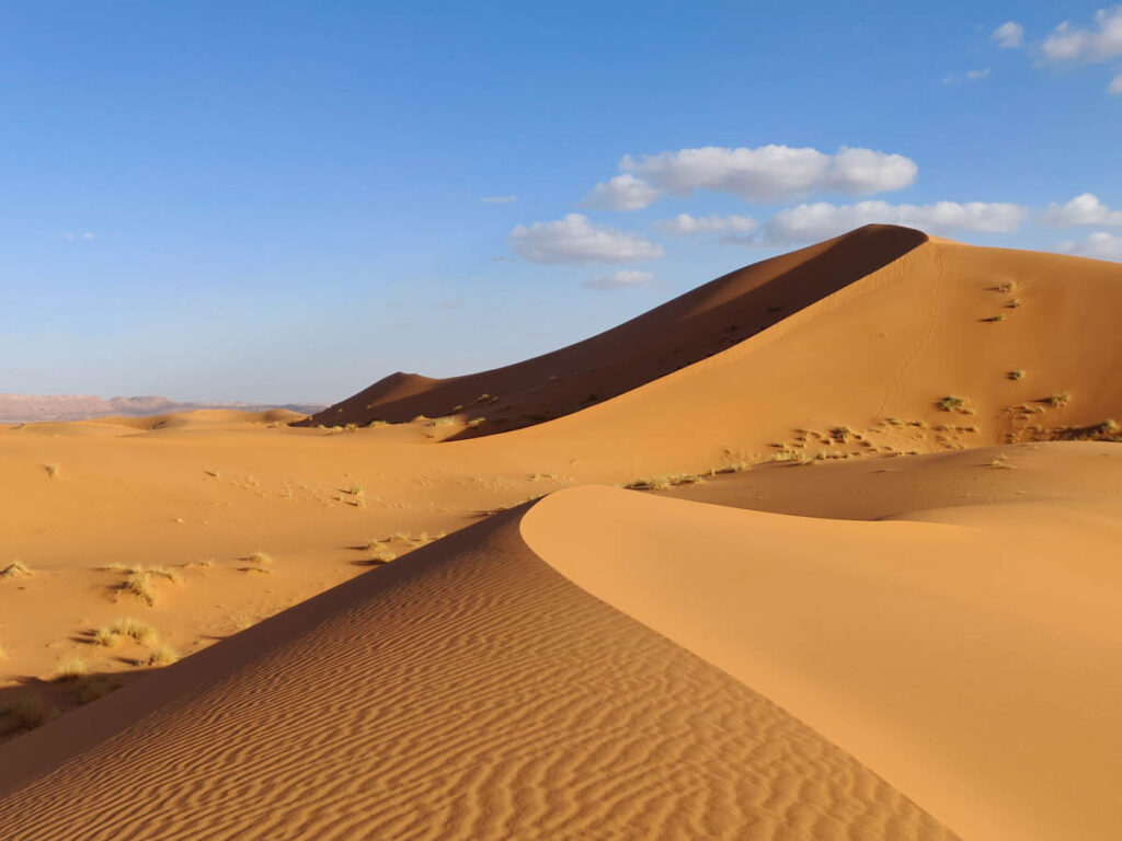 Sahara tour morocco, dunes with few bushes, blue sky with a couple of clouds