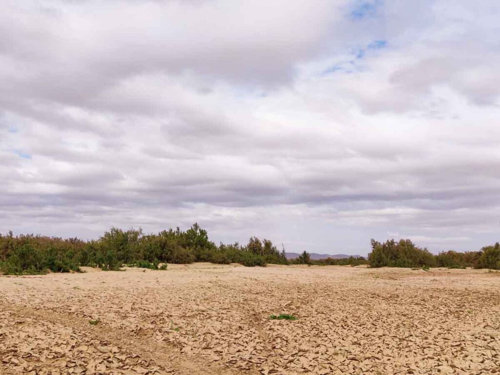 dry river bed in the desert of Morocco